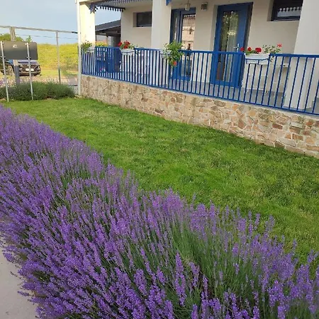 Hotel The Old Border Vama Veche
