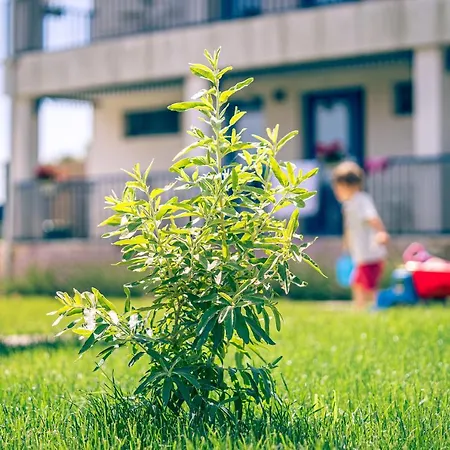 ホテル The Old Border
