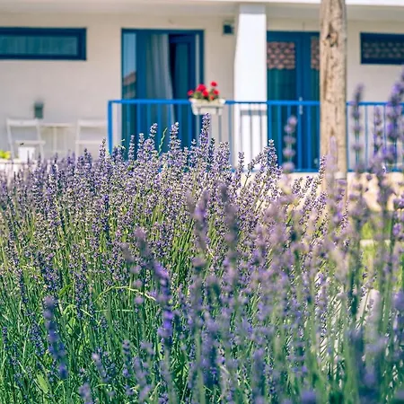 The Old Border ホテル 3*