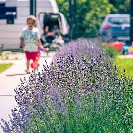 ホテル The Old Border 3*