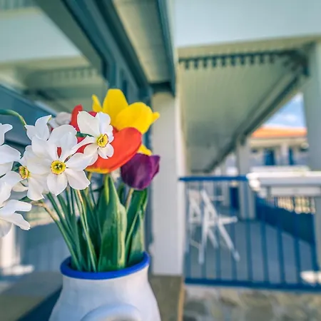 The Old Border 3* ヴァマ・ヴェケ