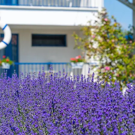 ホテル The Old Border ヴァマ・ヴェケ