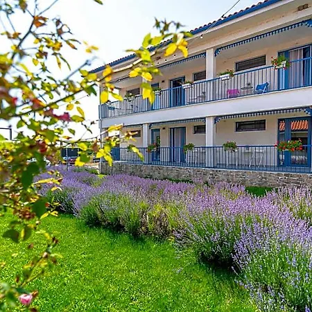 Hotel The Old Border Vama Veche
