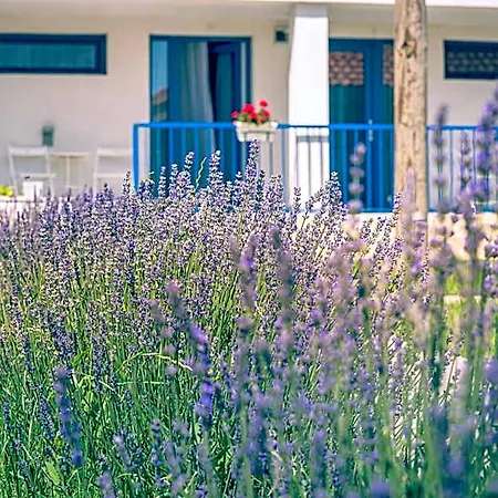 The Old Border Hotel 3*